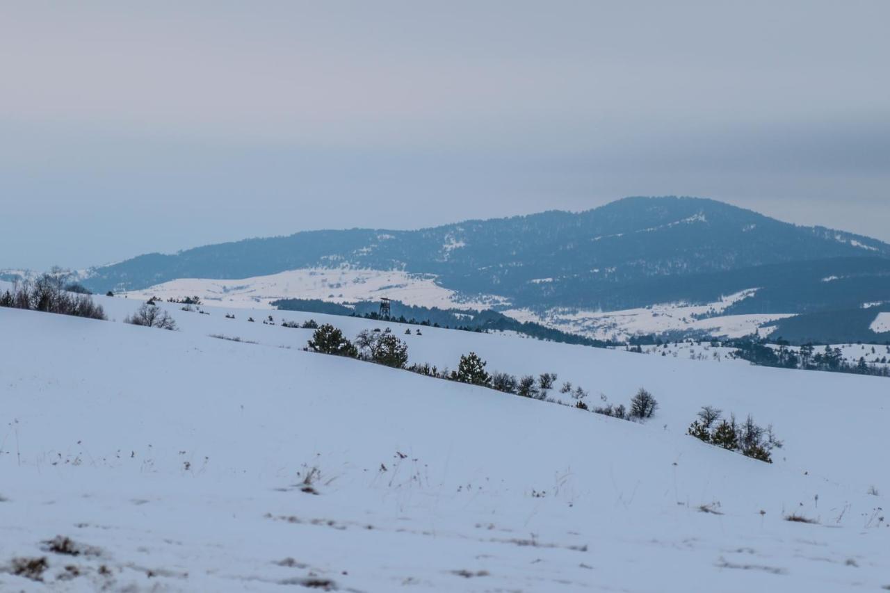 Hotel Dijamant Zlatibor Dış mekan fotoğraf